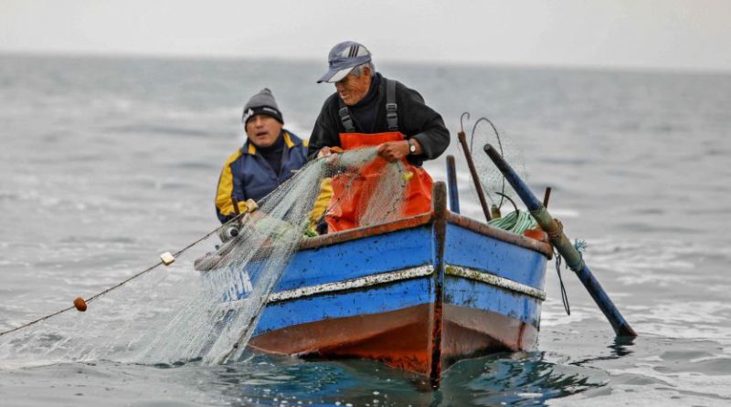 sector de pesca tradicional