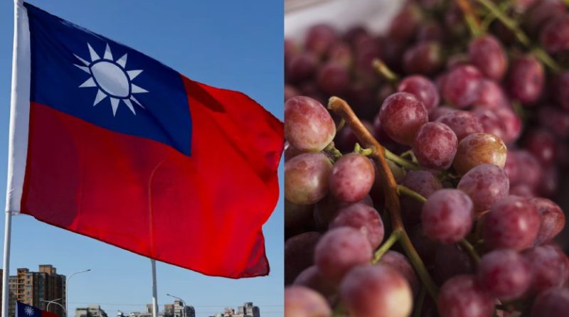 Exportación de uvas peruanas a Taiwán generó U$20,51 millones