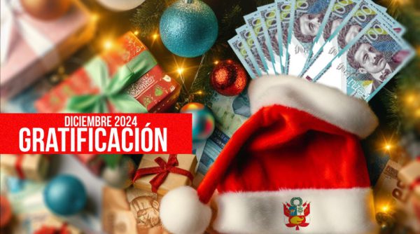 gratificacion diciembre 2024