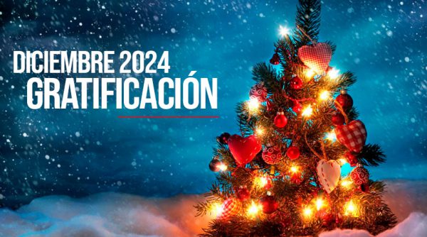 diciembre 2024 gratificacion