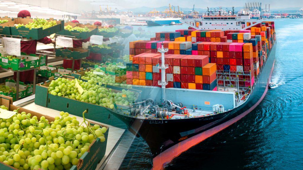 Agroexportación alcanzó cifra récord en 2025.