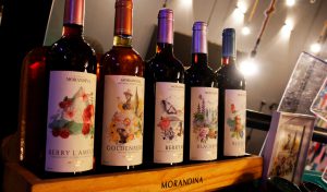 Morandina: Del cultivo de berries a la creación de vinos innovadores en el Callejón de Huaylas