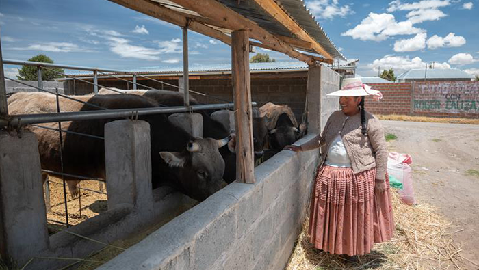 Agrobanco impulsa la inclusión financiera rural con más de S/ 205 millones en créditos para mujeres productoras