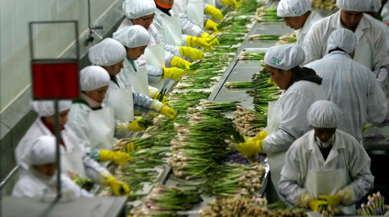 MIDAGRI: Agroexportaciones alcanzaron casi US$ 3 000 millones en el primer trimestre del año