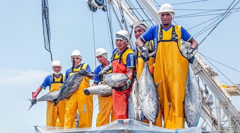 Rumbo a una pesca sostenible y moderna en el Perú