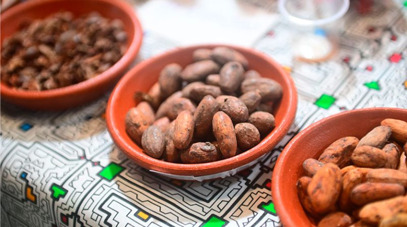 Productos amazónicos peruanos a la conquista de los mercados internacionales