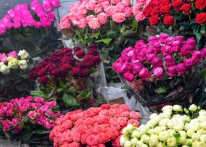 Floryvera, distribuidora asociada a la CCL, ofrece rosas frescas al por mayor para floristas y decoradores