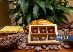 Día del Chocolate: 4 opciones irresistibles que todo amante del cacao debe probar | VIDEOS