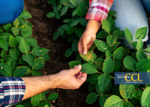 Raúl Yaipén Lab impulsa servicios microbiológicos clave para frenar la degradación del suelo