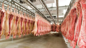 ¡Hito histórico! Perú podrá exportar carne de ave y cerdo a Singapur