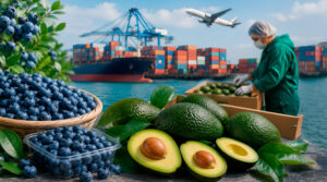 Exportaciones no tradicionales crecieron 3.3 % en el primer trimestre