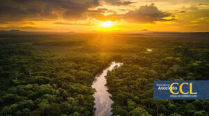 Natura reporta crecimiento digital y recuperación de mercado en el primer trimestre de 2026