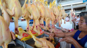 Caso de gripe aviar no afecta abastecimiento, consumo ni precio del pollo