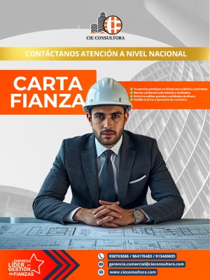 CIE CONSULTORA EMPRESARIAL S.R.L.