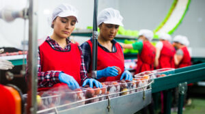 Empleo formal crece 4,2 % en mayo y suma 251 000 puestos de trabajo